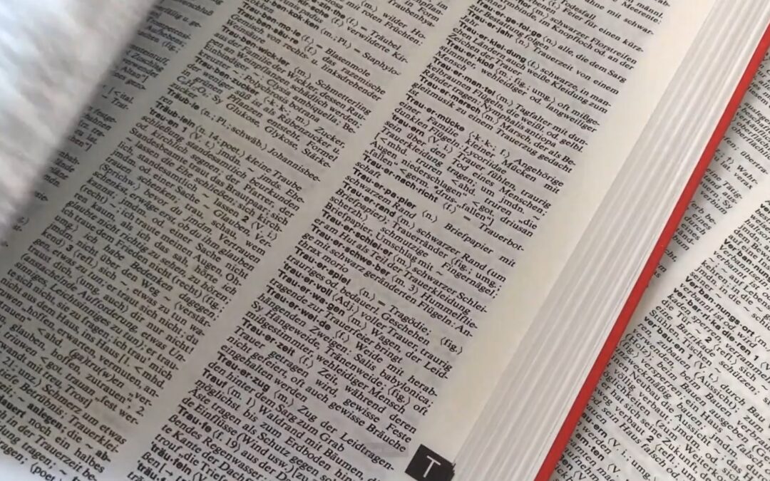 Anyword glossaire terminologige